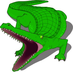 alligator picture